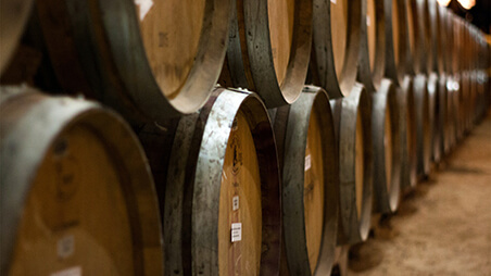 Stellenbosch Wine Cellar