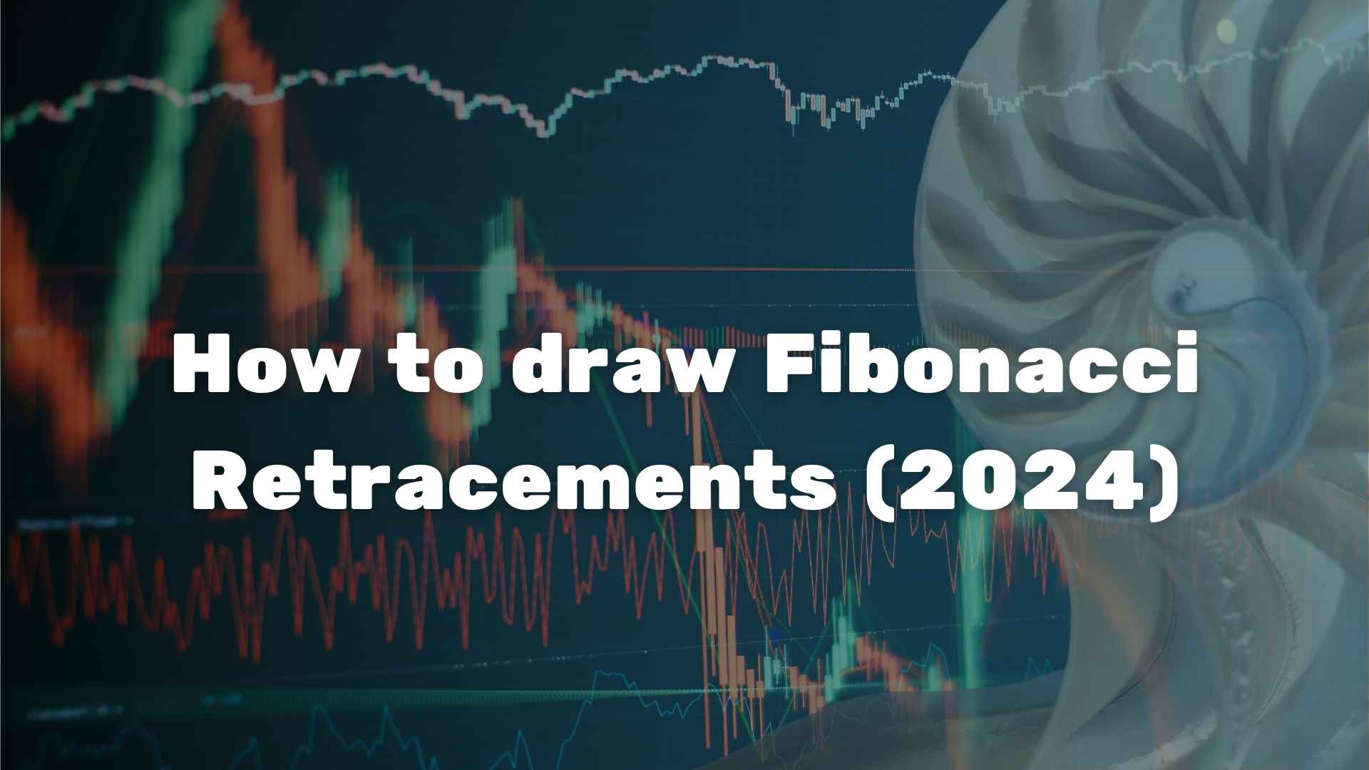 How to draw Fibonacci Retracements (2024)